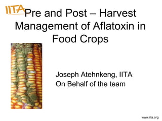 www.iita.org
Pre and Post – Harvest
Management of Aflatoxin in
Food Crops
Joseph Atehnkeng, IITA
On Behalf of the team
 
