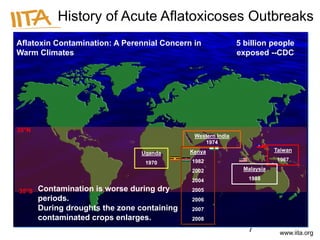 Pre and Post-Harvest Management of Aflatoxin in Food Crops | PDF