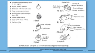 PRE AND POSTNATAL GROWTH OF CRANIAL BASE harshi.pptx