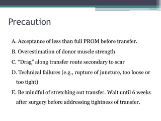 Precaution
A. Acceptance of less than full PROM before transfer.
B. Overestimation of donor muscle strength
C. “Drag” along transfer route secondary to scar
D. Technical failures (e.g., rupture of juncture, too loose or
too tight)
E. Be mindful of stretching out transfer. Wait until 6 weeks
after surgery before addressing tightness of transfer.
 