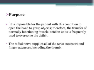 Purpose
• It is impossible for the patient with this condition to
open the hand to grasp objects; therefore, the transfer of
normally functioning muscle–tendon units is frequently
used to overcome the deficit.
• The radial nerve supplies all of the wrist extensors and
finger extensors, including the thumb.
 