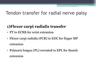 Tendon transfer for radial nerve palsy
1)Flexor carpi radialis transfer
• PT to ECRB for wrist extension
• Flexor carpi radialis (FCR) to EDC for finger MP
extension
• Palmaris longus (PL) rerouted to EPL for thumb
extension
 