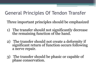 General Principles Of Tendon Transfer
Three important principles should be emphasized
1) The transfer should not significantly decrease
the remaining function of the hand.
2) The transfer should not create a deformity if
significant return of function occurs following
a nerve repair.
3) The transfer should be phasic or capable of
phase conservation.
 