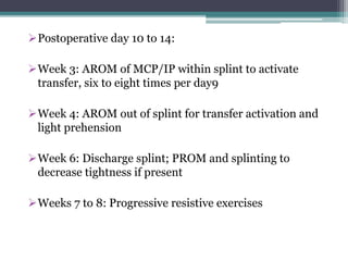 Postoperative day 10 to 14:
Week 3: AROM of MCP/IP within splint to activate
transfer, six to eight times per day9
Week 4: AROM out of splint for transfer activation and
light prehension
Week 6: Discharge splint; PROM and splinting to
decrease tightness if present
Weeks 7 to 8: Progressive resistive exercises
 