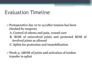 Evaluation Timeline
Postoperative day 10 to 14 (after tension has been
checked by surgeon)
A. Control of edema and pain, wound care
B. ROM of uninvolved joints and protected ROM of
involved joints as allowed
C. Splint for protection and immobilization
Week 3: AROM of joints and activation of tendon
transfer in splint
 