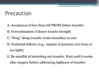 Precaution
A. Acceptance of less than full PROM before transfer.
B. Overestimation of donor muscle strength
C. “Drag” alon...