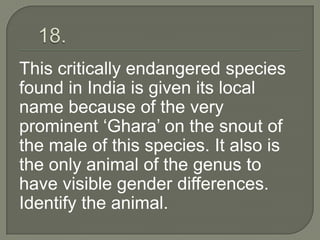 This critically endangered species
found in India is given its local
name because of the very
prominent „Ghara‟ on the snout of
the male of this species. It also is
the only animal of the genus to
have visible gender differences.
Identify the animal.
 