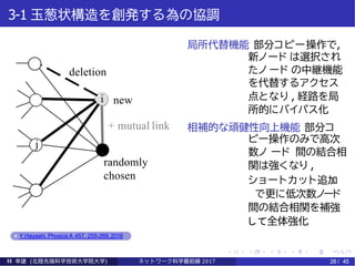 3-1 玉葱状構造を創発する為の協調
deletion
randomly
chosen
+ mutual link
new
j
i
局所代替機能 部分コピー操作で,
新ノード は選択され
たノ ード の中継機能
を代替するアクセス
点となり , 経路を局
所的にバイパス化
相補的な頑健性向上機能 部分コ
ピー操作のみで高次
数ノ ード 間の結合相
関は強くなり ,
ショートカット追加
で更に低次数ノード
間の結合相関を補強
して全体強化
Y.Hayashi, Physica A 457, 255-269,2016
林 幸雄 (北陸先端科学技術大学院大学) ネッ ト ワーク科学最前線 2017 28 / 45
 