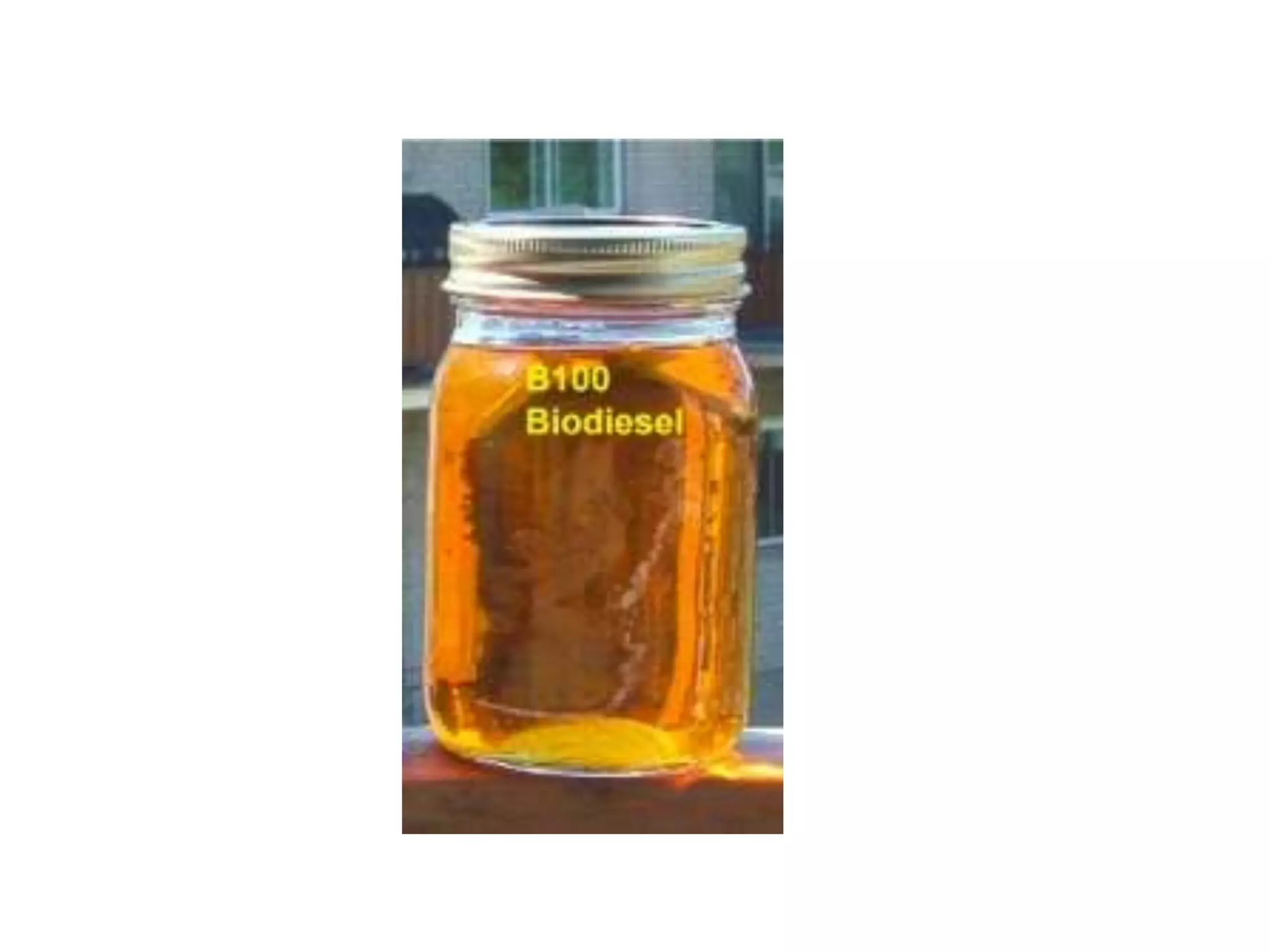 Pre biodiesel ppt