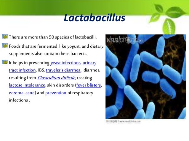 Prebiotic and probiotic.
