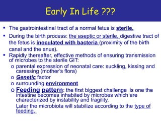 Prebiotics and probiotics | PPT