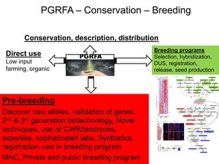 Pre breeding | PPTX