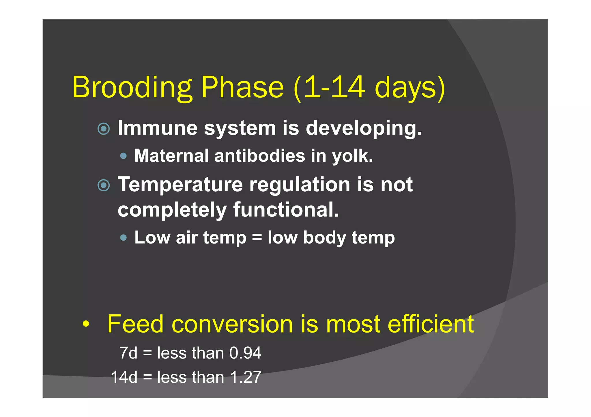 Pre –brooding, brooding and rearing management of chicks | PDF