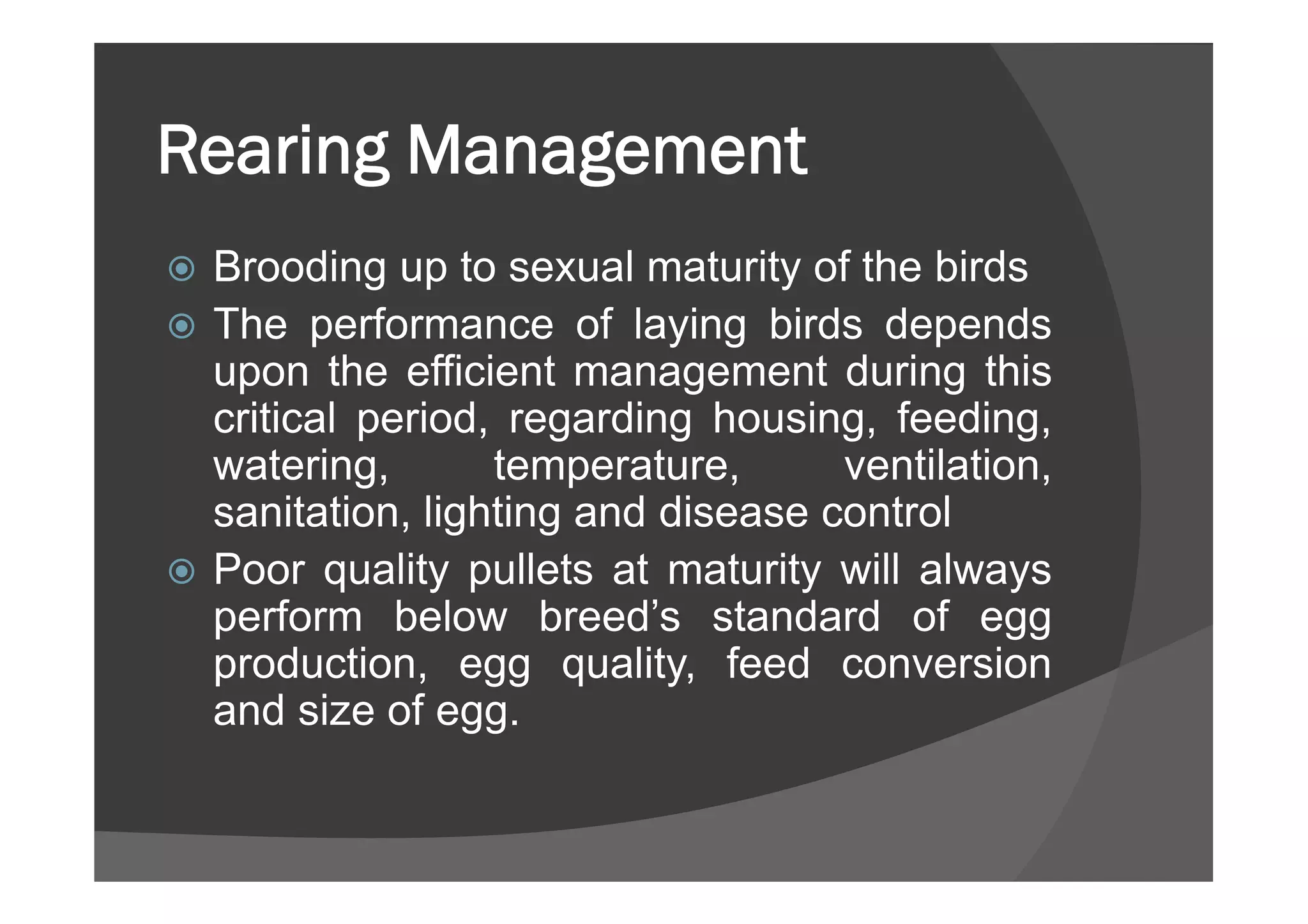 Pre –brooding, brooding and rearing management of chicks | PDF