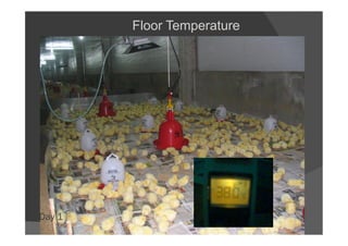 Day 1
Floor Temperature
 