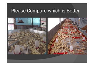 Please Compare which is Better
 