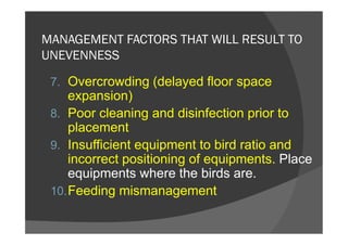 MANAGEMENT FACTORS THAT WILL RESULT TO
UNEVENNESS
7. Overcrowding (delayed floor space
expansion)
8. Poor cleaning and disinfection prior to
placement
9. Insufficient equipment to bird ratio and
incorrect positioning of equipments. Place
equipments where the birds are.
10.Feeding mismanagement
 