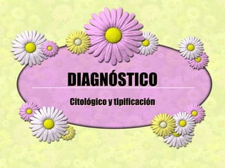 Lesiones condilomatosas: 6, 11, 16, 18, 30, 31, 33, 34, 35, 39, 40, 42, 43, 51, 52, 55, 56, 57, 58, 59, 61, 62, 64, 67,68,   69, 70.