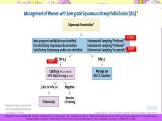 10% concurren con cáncer endometrialRonnett BM, Manos MM, Ransley JE, et al. Atypical glandular cells of undeterminedsignificance (AGUS). HumPathol. 1999;30:816-825. Zweizig S, Noller K, Reale F, Collis S, Resseguie L. Neoplasia associatedwithatypical  glandular cells of undeterminedsignificanceon cervical cytology. GynecolOncol. 1997;65:314-318 