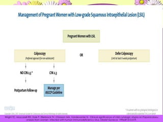 Wright TC, Moscarelli RD, Dole P, Ellerbrock TV, Chiasson MA, Vandevanter N.  Clinicalsignificance of mildcytologicatypiaon Papanicolaou smearsfromwomeninfectedwithhumanimmunodeficiency virus. ObstetGynecol. 1996;87:515-519. 