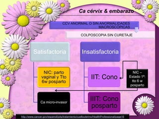 RADIOTERAPIA POPIndicacionesGanglios positivosCompromiso estromal > 50%Extensión parametrialMárgenes de sección positivosInvasionlinfovascular.Sergio Pecorelli. “Revised FIGO staging for carcinoma of the vulva,cervix and endometrium”. International Journal of Gynecology and Obstetrics105:103-104,2009http://www.cancer.gov/espanol/pdq/tratamiento/cuellouterino/HealthProfessional/page16