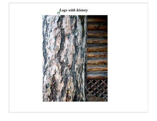 Logs with history