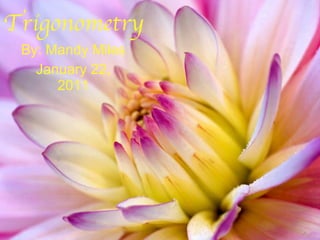 Trigonometry   By: Mandy Miles January 22, 2011 