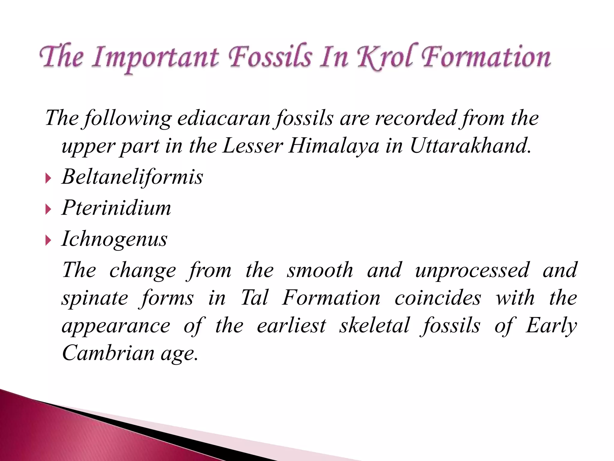 The following ediacaran fossils are recorded from the
upper part in the Lesser Himalaya in Uttarakhand.
 Beltaneliformis
 Pterinidium
 Ichnogenus
The change from the smooth and unprocessed and
spinate forms in Tal Formation coincides with the
appearance of the earliest skeletal fossils of Early
Cambrian age.
 
