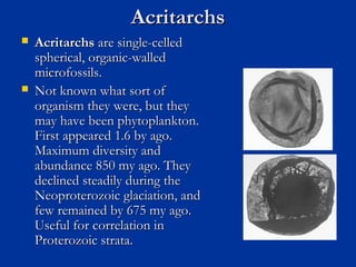  AcritarchsAcritarchs are single-celledare single-celled
spherical, organic-walledspherical, organic-walled
microfossils.microfossils.
 Not known what sort ofNot known what sort of
organism they were, but theyorganism they were, but they
may have been phytoplankton.may have been phytoplankton.
First appeared 1.6 by ago.First appeared 1.6 by ago.
Maximum diversity andMaximum diversity and
abundance 850 my ago. Theyabundance 850 my ago. They
declined steadily during thedeclined steadily during the
Neoproterozoic glaciation, andNeoproterozoic glaciation, and
few remained by 675 my ago.few remained by 675 my ago.
Useful for correlation inUseful for correlation in
Proterozoic strata.Proterozoic strata.
AcritarchsAcritarchs
 