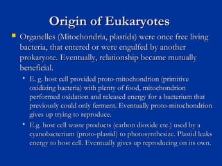 Origin of EukaryotesOrigin of Eukaryotes
 Organelles (Mitochondria, plastids) were once free livingOrganelles (Mitochondria, plastids) were once free living
bacteria, that entered or were engulfed by anotherbacteria, that entered or were engulfed by another
prokaryote. Eventually, relationship became mutuallyprokaryote. Eventually, relationship became mutually
beneficial.beneficial.
 E. g. host cell provided proto-mitochondrion (primitiveE. g. host cell provided proto-mitochondrion (primitive
oxidizing bacteria) with plenty of food, mitochondrionoxidizing bacteria) with plenty of food, mitochondrion
performed oxidation and released energy for a bacterium thatperformed oxidation and released energy for a bacterium that
previously could only ferment. Eventually proto-mitochondrionpreviously could only ferment. Eventually proto-mitochondrion
gives up trying to reproduce.gives up trying to reproduce.
 E.g. host cell waste products (carbon dioxide etc.) used by aE.g. host cell waste products (carbon dioxide etc.) used by a
cyanobacterium (proto-plastid) to photosynthesize. Plastid leakscyanobacterium (proto-plastid) to photosynthesize. Plastid leaks
energy to host cell. Eventually gives up reproducing on its own.energy to host cell. Eventually gives up reproducing on its own.
 