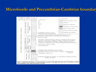 Microfossils and Precambrian-Cambrian boundaryMicrofossils and Precambrian-Cambrian boundary
 