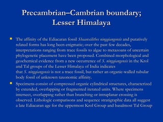 Precambrian–Cambrian boundary;Precambrian–Cambrian boundary;
Lesser HimalayaLesser Himalaya
 The affinity of the Ediacaran fossil The affinity of the Ediacaran fossil Shaanxilithes ningqiangensisShaanxilithes ningqiangensis and putatively and putatively
related forms has long been enigmatic; over the past few decades,related forms has long been enigmatic; over the past few decades,
interpretations ranging from trace fossils to algae to metazoans of uncertaininterpretations ranging from trace fossils to algae to metazoans of uncertain
phylogenetic placement have been proposed. Combined morphological andphylogenetic placement have been proposed. Combined morphological and
geochemical evidence from a new occurrence of geochemical evidence from a new occurrence of SS.. ningqiangensis ningqiangensis in the Krol in the Krol
and Tal groups of the Lesser Himalaya of India indicatesand Tal groups of the Lesser Himalaya of India indicates
that that SS.. ningqiangensis ningqiangensis is not a trace fossil, but rather an organic-walled tubular is not a trace fossil, but rather an organic-walled tubular
body fossil of unknown taxonomic affinity.body fossil of unknown taxonomic affinity.
 Specimens consist of compressed organic cylindrical structures, characterizedSpecimens consist of compressed organic cylindrical structures, characterized
by extended, overlapping or fragmented iterated units. Where specimensby extended, overlapping or fragmented iterated units. Where specimens
intersect, overlapping rather than branching or intraplanar crossing isintersect, overlapping rather than branching or intraplanar crossing is
observed. Lithologic comparisons and sequence stratigraphic data all suggestobserved. Lithologic comparisons and sequence stratigraphic data all suggest
a late Ediacaran age for the uppermost Krol Group and basalmost Tal Groupa late Ediacaran age for the uppermost Krol Group and basalmost Tal Group
 