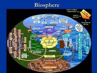 BiosphereBiosphere
 