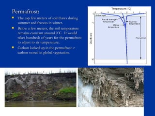 Permafrost:Permafrost:
 The top few meters of soil thaws duringThe top few meters of soil thaws during
summer and freezes in winter.summer and freezes in winter.
 Below a few meters, the soil temperatureBelow a few meters, the soil temperature
remains constant around 0˚C. It wouldremains constant around 0˚C. It would
takes hundreds of years for the permafrosttakes hundreds of years for the permafrost
to adjust to air temperature;to adjust to air temperature;
 Carbon locked up in the permafrost >Carbon locked up in the permafrost >
carbon stored in global vegetation.carbon stored in global vegetation.
 