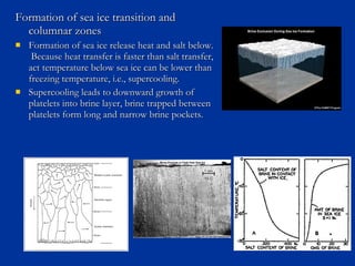 Formation of sea ice transition andFormation of sea ice transition and
columnar zonescolumnar zones
 Formation of sea ice release heat and salt below.Formation of sea ice release heat and salt below.
Because heat transfer is faster than salt transfer,Because heat transfer is faster than salt transfer,
act temperature below sea ice can be lower thanact temperature below sea ice can be lower than
freezing temperature, i.e., supercooling.freezing temperature, i.e., supercooling.
 Supercooling leads to downward growth ofSupercooling leads to downward growth of
platelets into brine layer, brine trapped betweenplatelets into brine layer, brine trapped between
platelets form long and narrow brine pockets.platelets form long and narrow brine pockets.
 