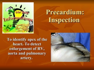 Precardium: Inspection  To identify apex of the heart. To detect enlargement of RV, aorta and pulmonary artery.   