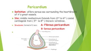 Pericardium
 Definition: afibro serous sac surrounding the heart&roots
of it's great vessels.
 Site: middle mediastinum Extends from (2nd to 6th ) costal
cartilages& from ( 5th to 8th ) thoracic vertebrae.
 Structures: formed of 2 sacs: A- Fibrous pericardium
B- Serous pericardium

 