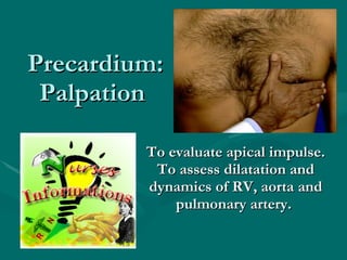 Precardium: Palpation  To evaluate apical impulse. To assess dilatation and dynamics of RV, aorta and pulmonary artery.   