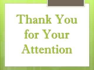 Thank You for Your Attention 