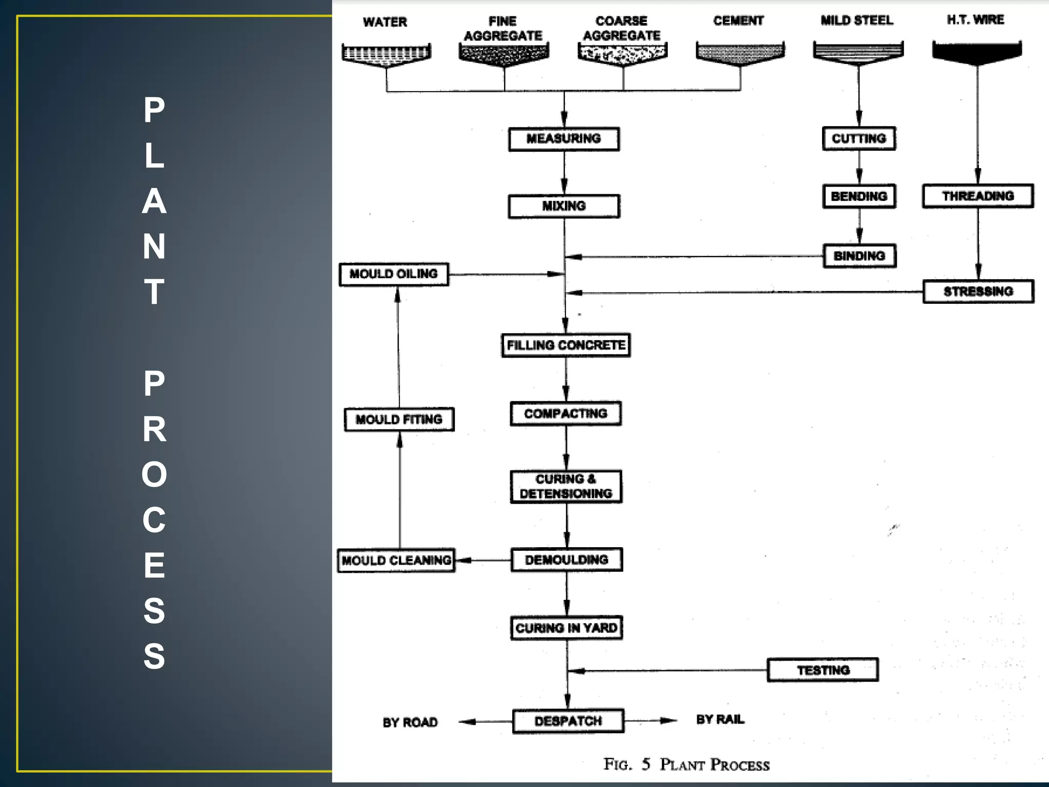 P
L
A
N
T
P
R
O
C
E
S
S
 