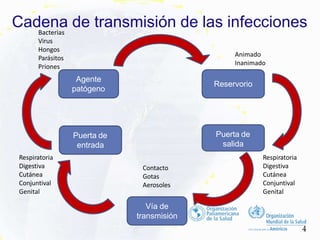 Cadena de transmisión de las infecciones
Agente
patógeno
Puerta de
salida
Vía de
transmisión
Puerta de
entrada
Reservorio
Animado
Inanimado
4
Contacto
Gotas
Aerosoles
Respiratoria
Digestiva
Cutánea
Conjuntival
Genital
Bacterias
Virus
Hongos
Parásitos
Priones
Respiratoria
Digestiva
Cutánea
Conjuntival
Genital
 
