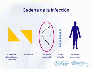 Cantidad
del patógeno
(inóculo)
Virulencia Huésped
susceptible
Puerta
entrada
Ruta de
transmisión
Cadena de la infección
5
 