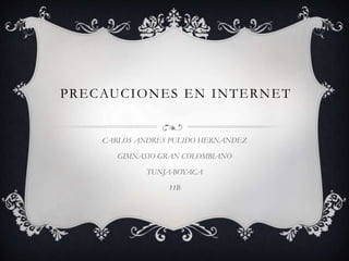 PRECAUCIONES EN INTERNET
CARLOS ANDRES PULIDO HERNANDEZ
GIMNASIO GRAN COLOMBIANO
TUNJA-BOYACA
11B
 