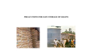 PREACUTIONS FOR SAFE STORAGE OF GRAINS
 