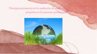 Principio precautorio en la resolución de problemas y el trabajo por
proyectos en los procesos productivos
 