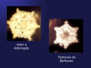 Amor e Admiração. Pastorais de Bethoven. 