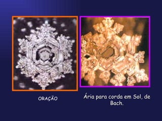 ORAÇÃO Ária para corda em Sol, de Bach. 