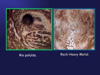 Rio poluído. Rock Heavy Metal. 