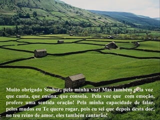 Muito obrigado Senhor, pela minha voz! Mas também pela voz
que canta, que ensina, que consola. Pela voz que com emoção,
profere uma sentida oração! Pela minha capacidade de falar,
pelos mudos eu Te quero rogar, pois eu sei que depois desta dor,
no teu reino de amor, eles também cantarão!
 