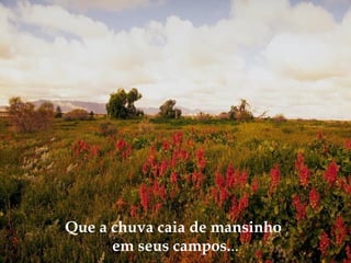 Que a chuva caia de mansinho
em seus campos...